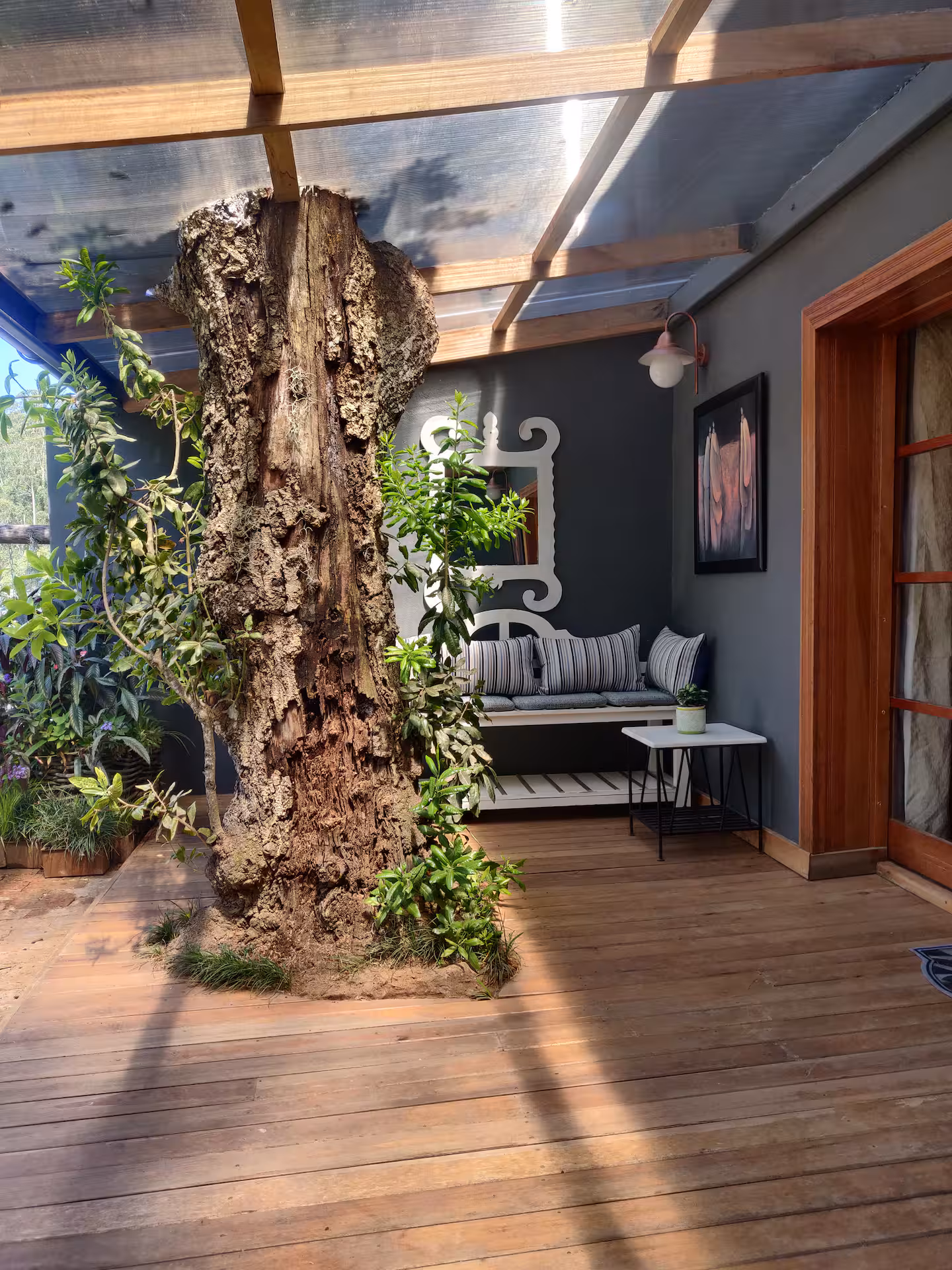 Ferntree Deck